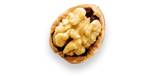 Valnöt